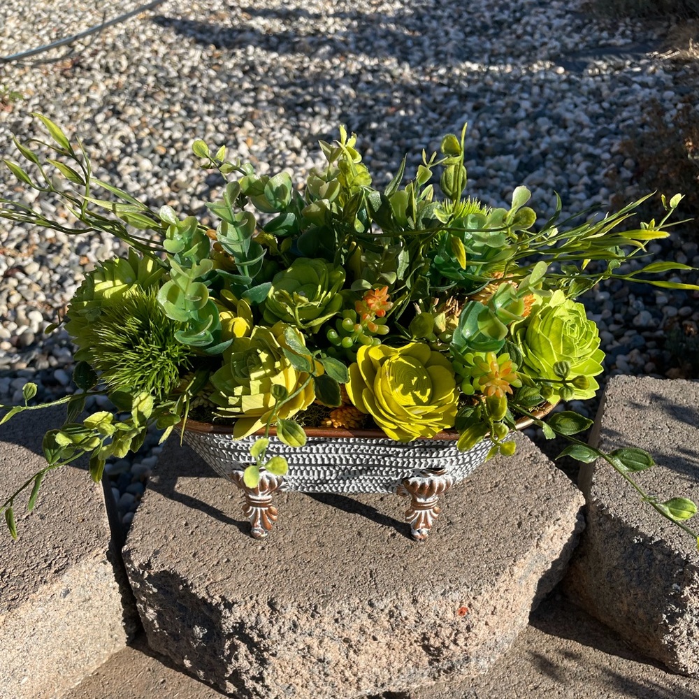 Sola succulents in 10” bathtub